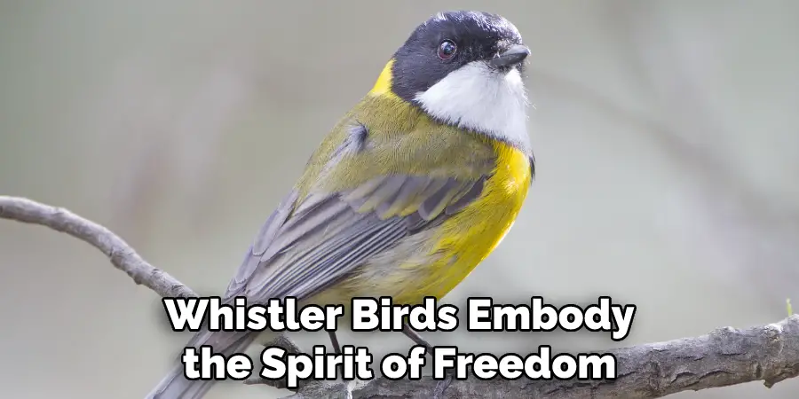 Whistler Birds Embody
the Spirit of Freedom