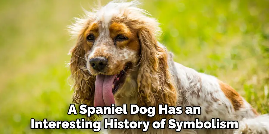 A Spaniel Dog Has an
Interesting History of Symbolism