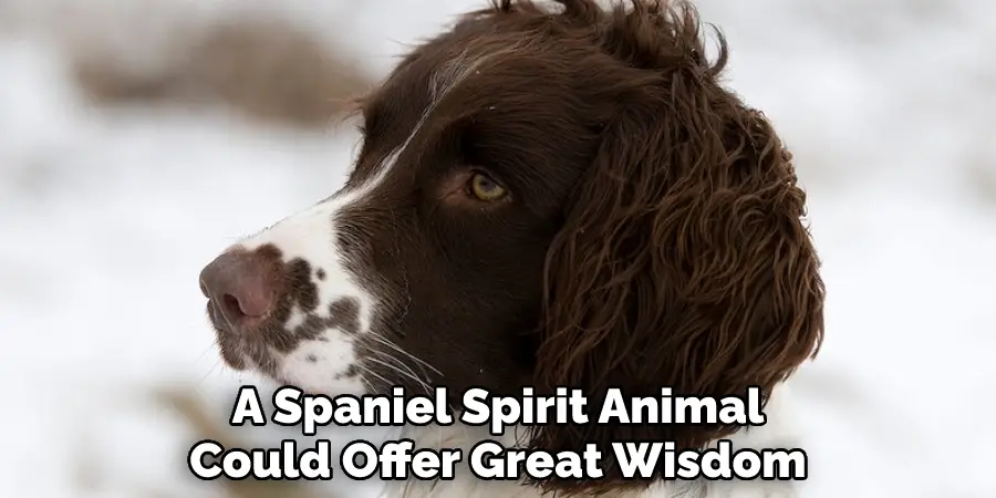 A Spaniel Spirit Animal Could Offer Great Wisdom