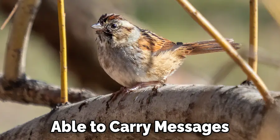 Able to Carry Messages