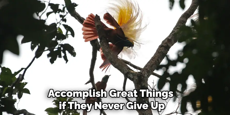 Accomplish Great Things if They Never Give Up