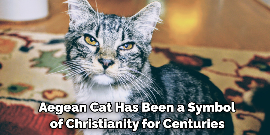  Aegean Cat Has Been a Symbol of Christianity for Centuries
