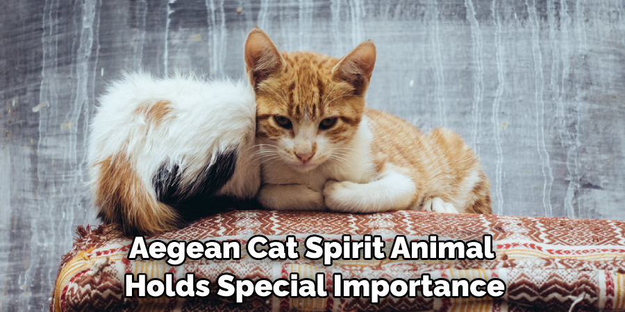 Aegean Cat Spirit Animal Holds Special Importance