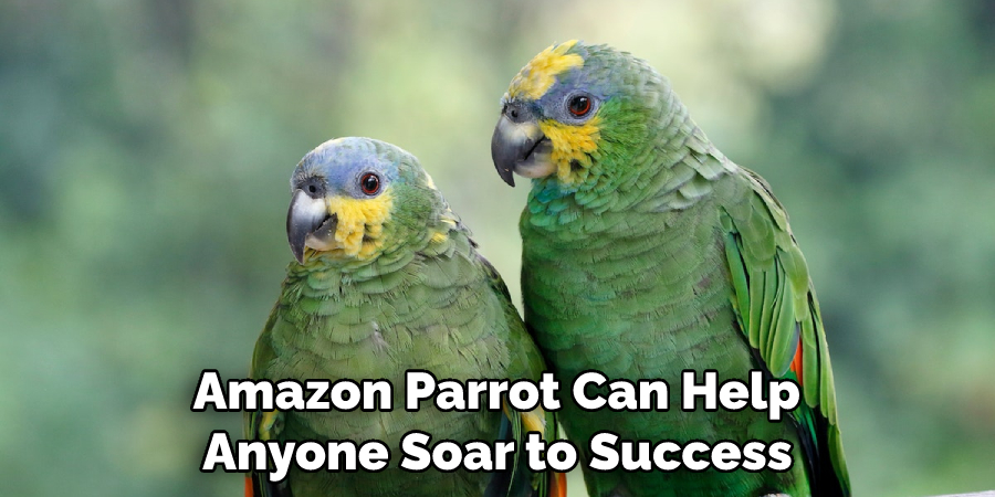  Amazon Parrot Can Help Anyone Soar to Success