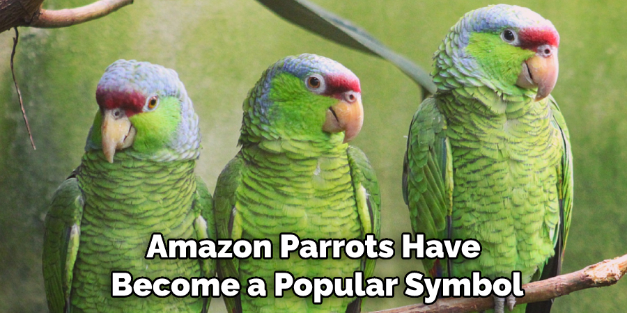 Amazon Parrots Have Become a Popular Symbol