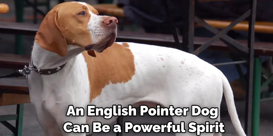An English Pointer Dog Can Be a Powerful Spirit