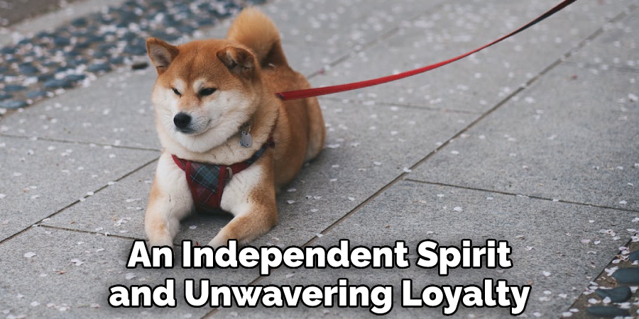 An Independent Spirit and Unwavering Loyalty