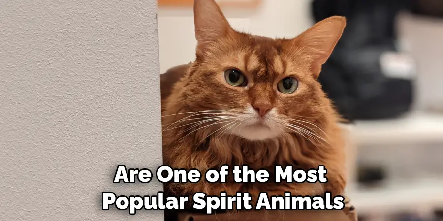 Are One of the Most Popular Spirit Animals