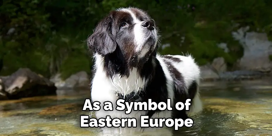 As a Symbol of Eastern Europe