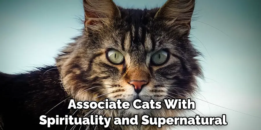 Associate Cats With 
Spirituality and Supernatural