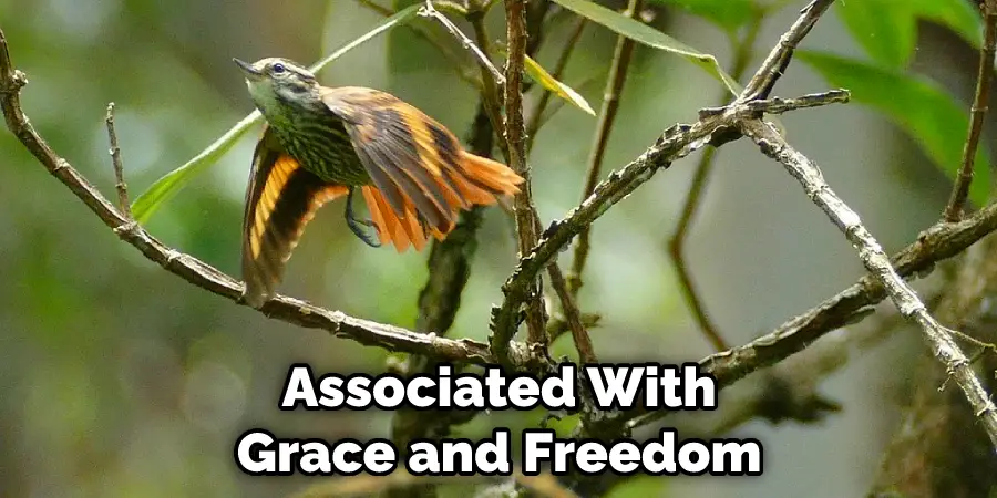 Associated With Grace and Freedom