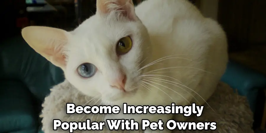  Become Increasingly Popular With Pet Owners