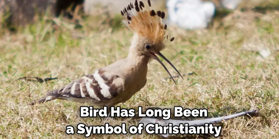  Bird Has Long Been a Symbol of Christianity