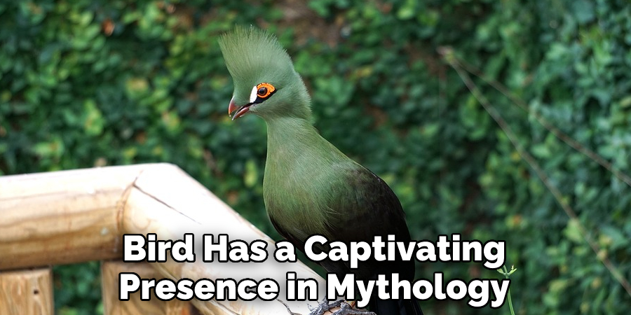 Bird Has a Captivating Presence in Mythology