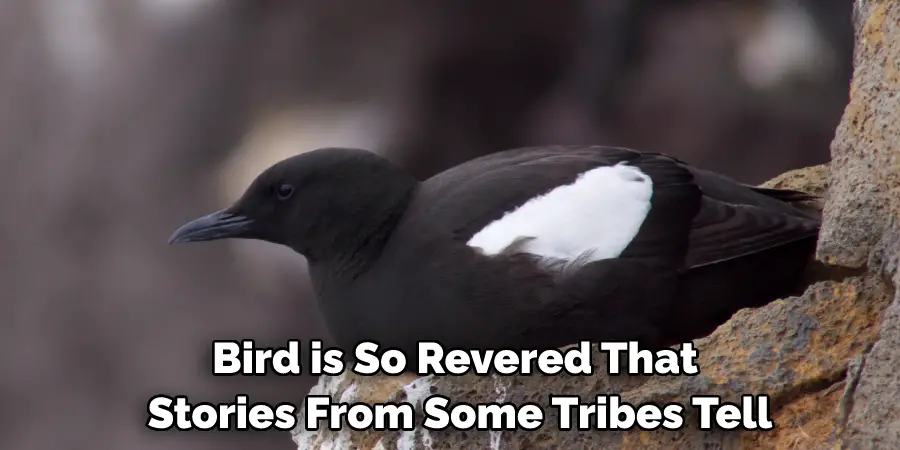 Bird is So Revered That Stories From Some Tribes Tell