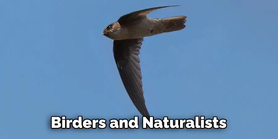 Birders and Naturalists