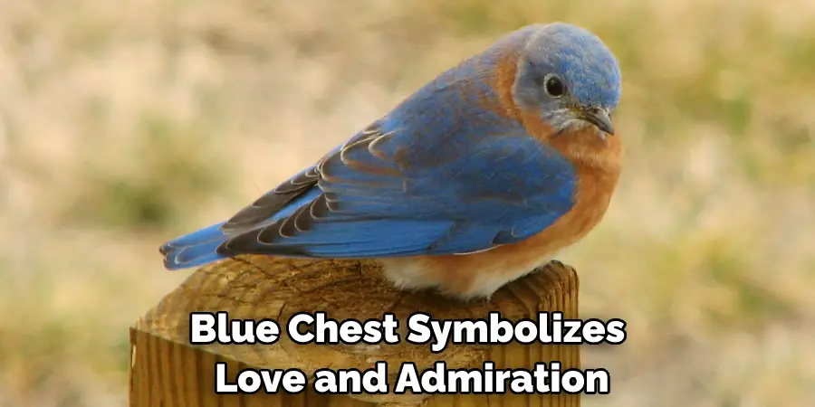 Blue Chest Symbolizes Love and Admiration