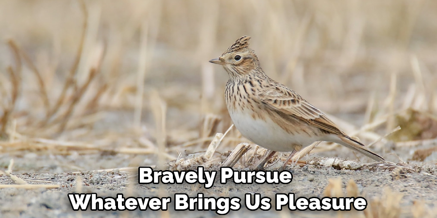 Bravely Pursue Whatever Brings Us Pleasure
