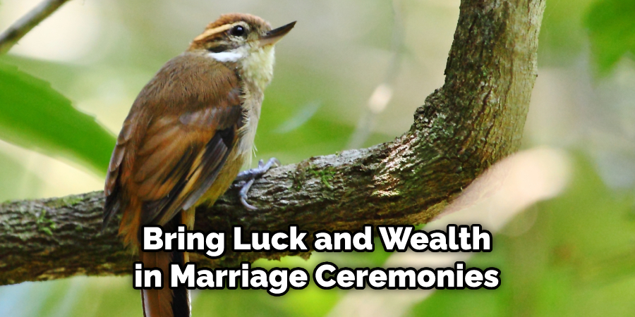 Bring Luck and Wealth in Marriage Ceremonies