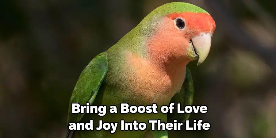  Bring a Boost of Love and Joy Into Their Life