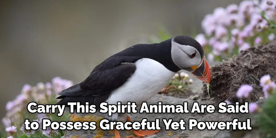  carry this spirit animal are said to possess graceful yet powerful