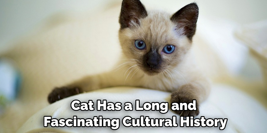 Cat Has a Long and Fascinating Cultural History
