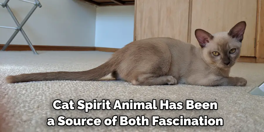  Cat Spirit Animal Has Been a Source of Both Fascination