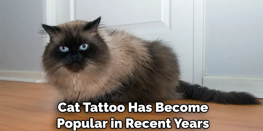  Cat Tattoo Has Become Popular in Recent Years