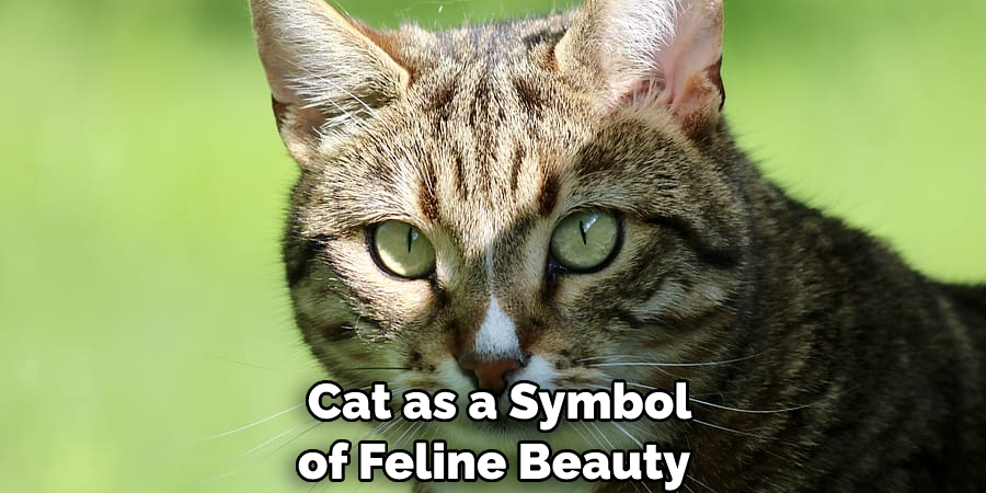  Cat as a Symbol of Feline Beauty