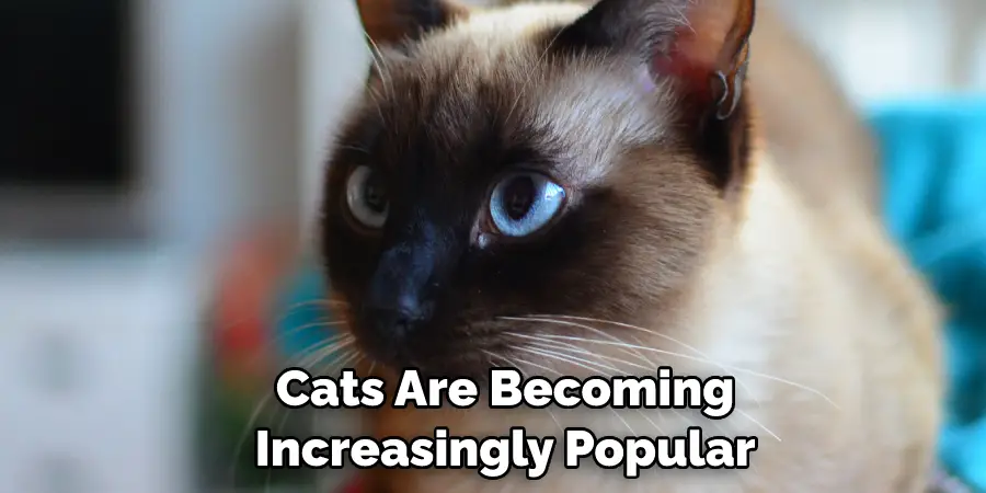  Cats Are Becoming Increasingly Popular