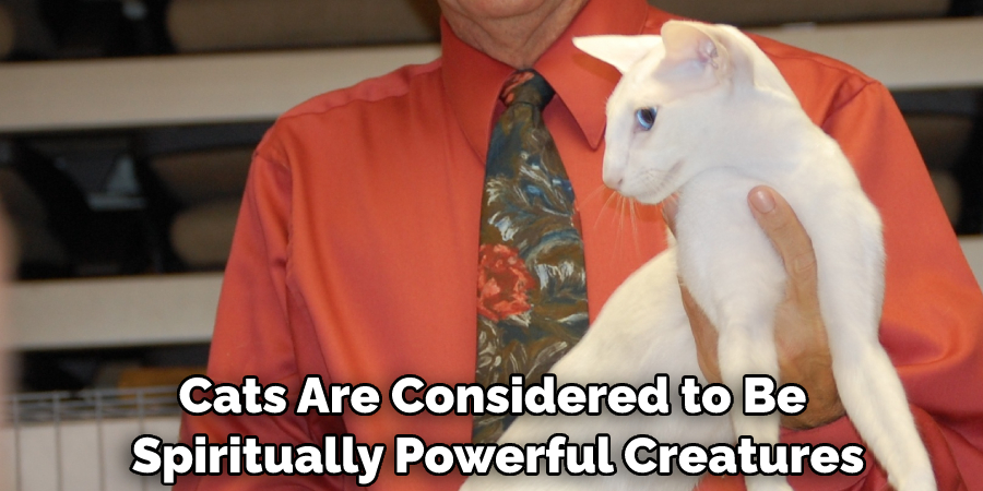 Cats Are Considered to Be Spiritually Powerful Creatures