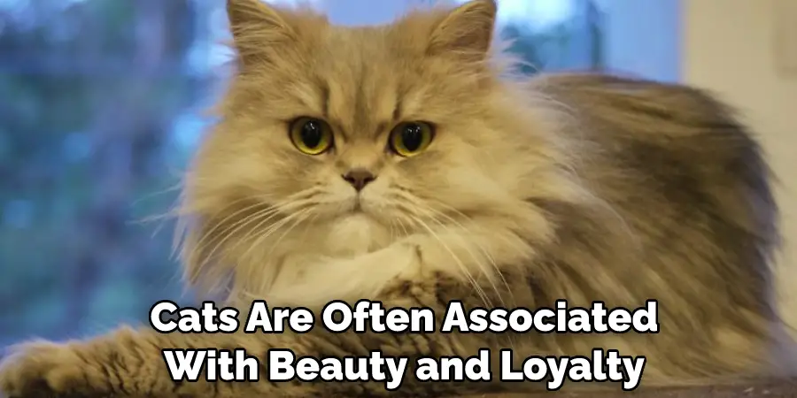  Cats Are Often Associated With Beauty and Loyalty