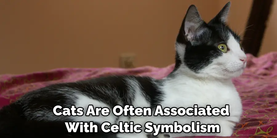 Cats Are Often Associated With Celtic Symbolism