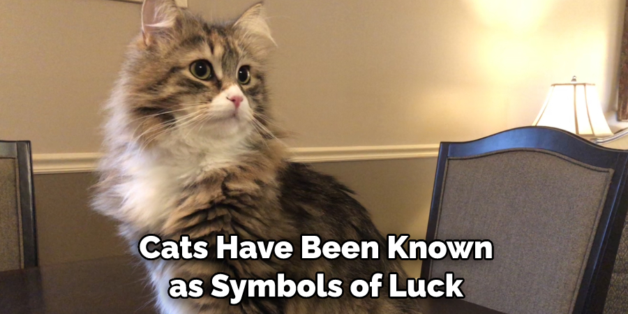  Cats Have Been Known as Symbols of Luck