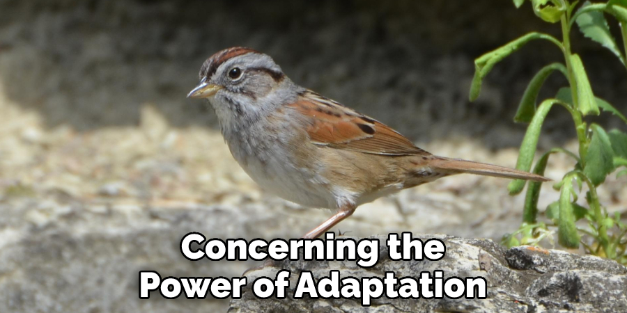 Concerning the Power of Adaptation