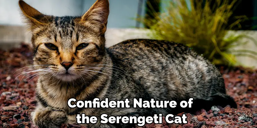 Confident Nature of the Serengeti Cat