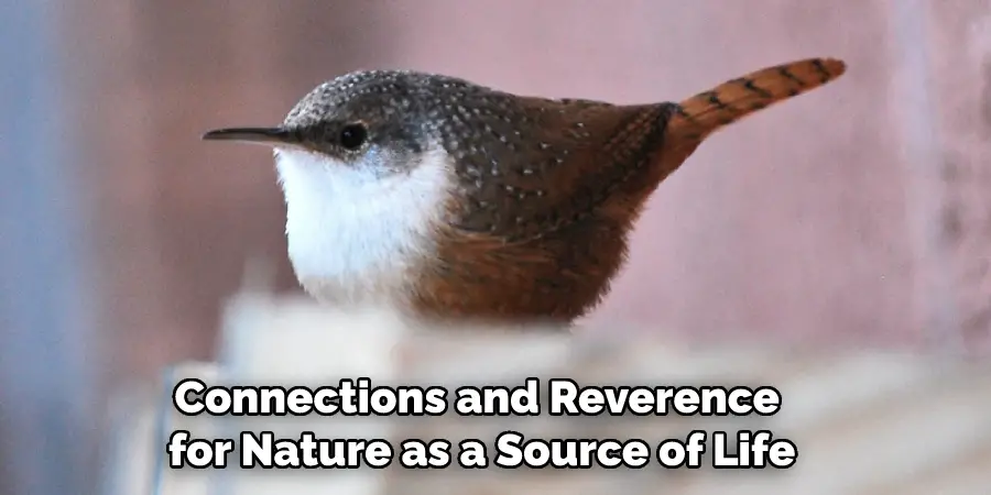 Connections and Reverence for Nature as a Source of Life