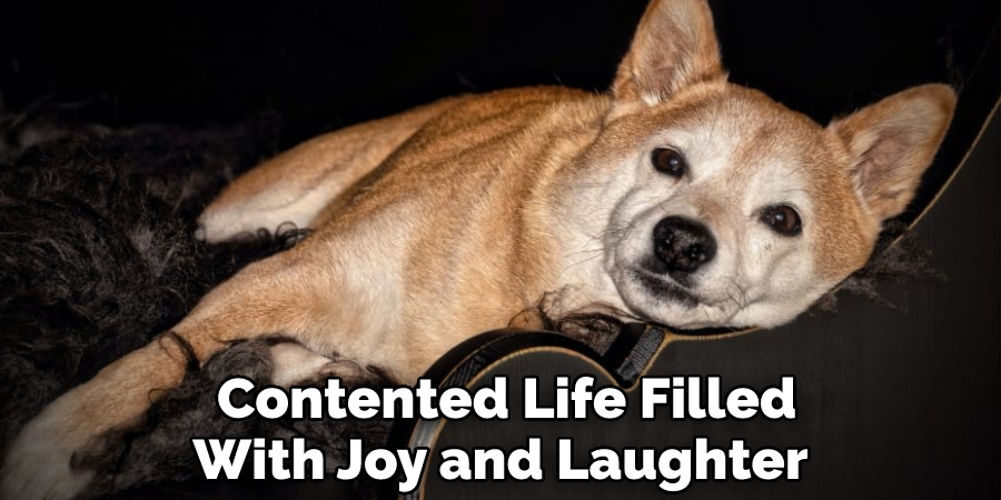  Contented Life Filled With Joy and Laughter