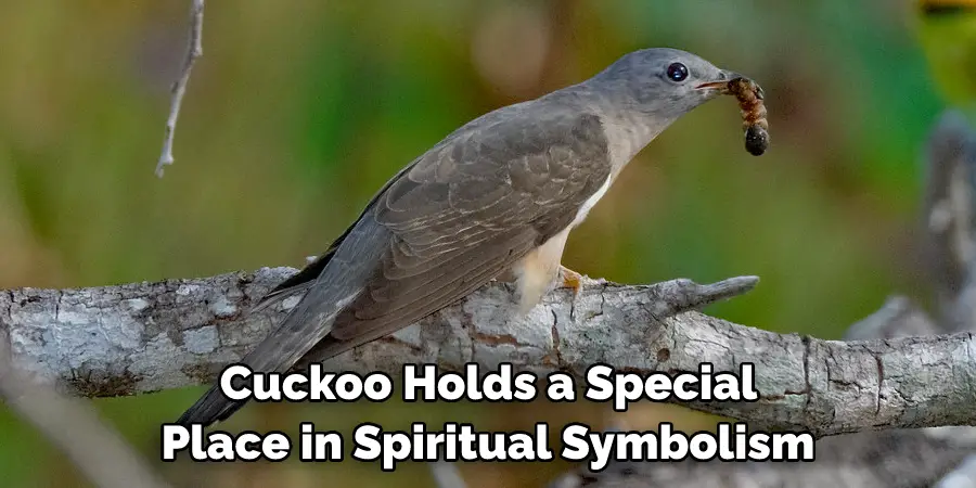  Cuckoo Holds a Special Place in Spiritual Symbolism