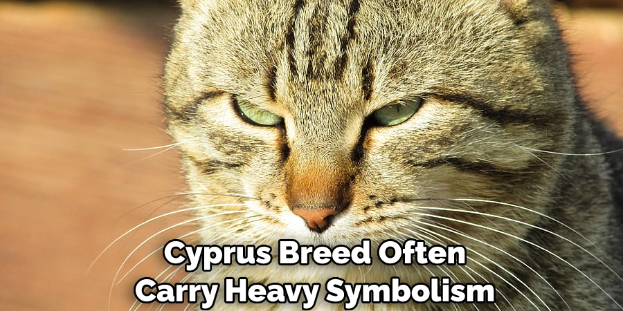  Cyprus Breed Often Carry Heavy Symbolism