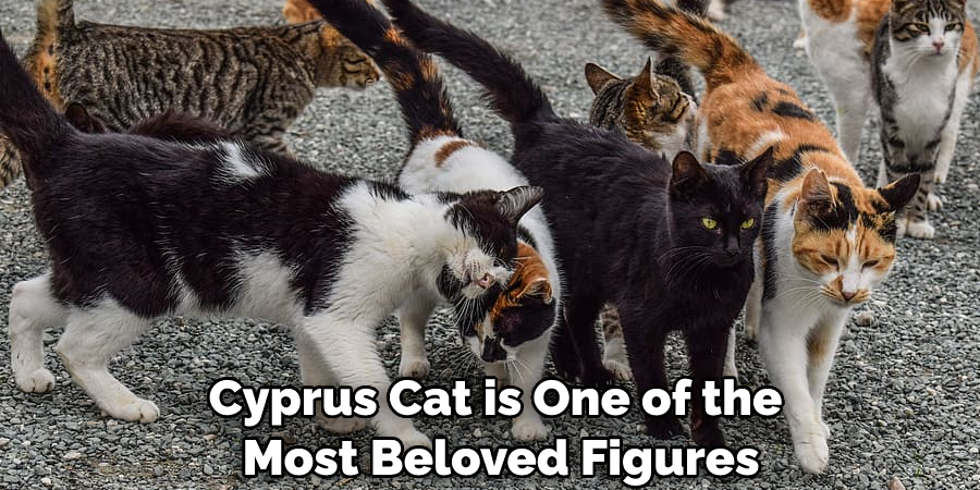 Cyprus Cat is One of the Most Beloved Figures