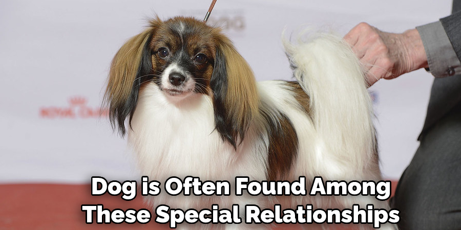  Dog is Often Found Among These Special Relationships