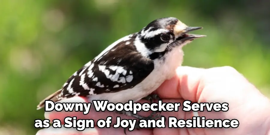  Downy Woodpecker Serves as a Sign of Joy and Resilience