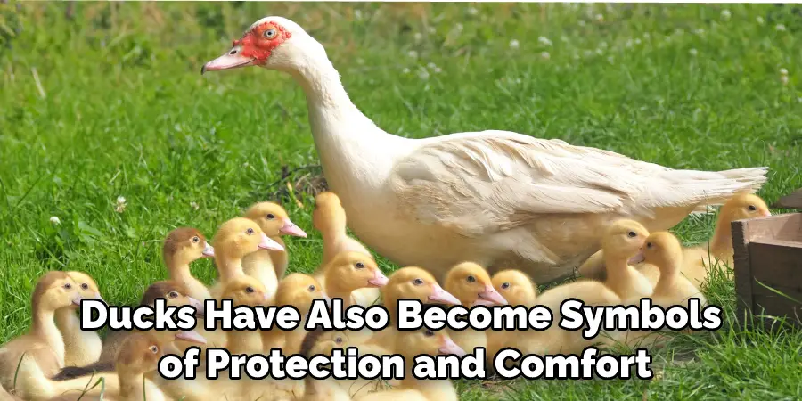 Ducks Have Also Become Symbols of Protection and Comfort