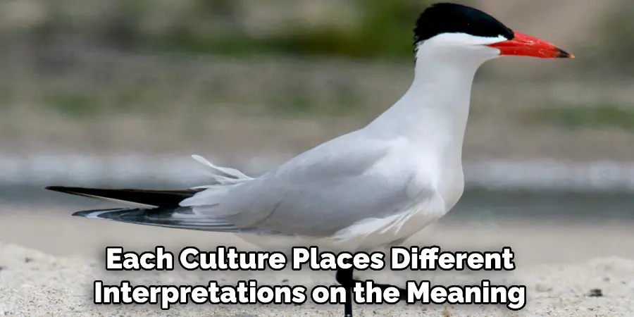  Each Culture Places Different Interpretations on the Meaning