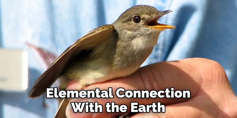 Elemental Connection With the Earth