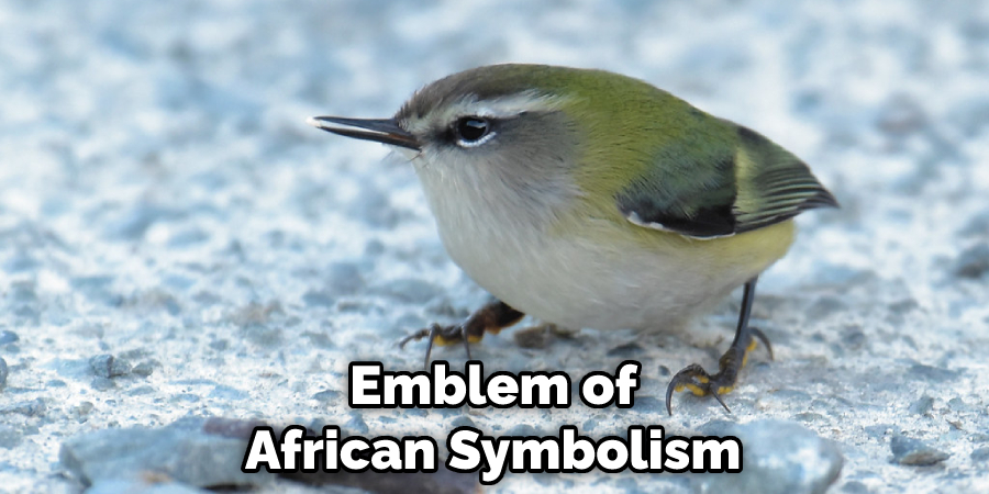 Emblem of African Symbolism