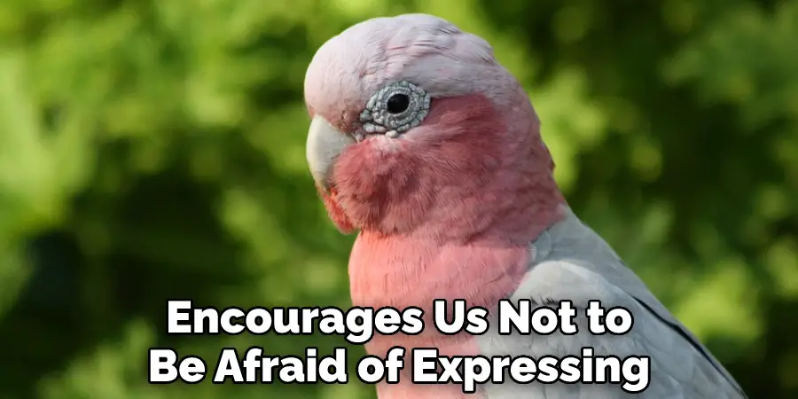 Encourages Us Not to Be Afraid of Expressing