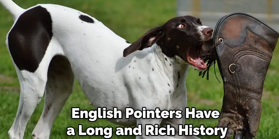 English Pointers Have a Long and Rich History