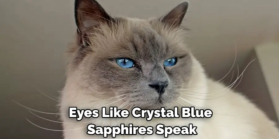 Eyes Like Crystal Blue Sapphires Speak